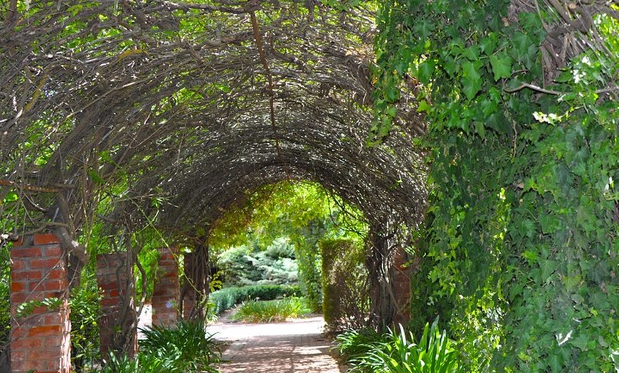 Image 4: Barossa Valley Cellar Door Small Group Tour