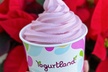 $10 For $20 Worth Of Frozen Yogurt - Second Medium