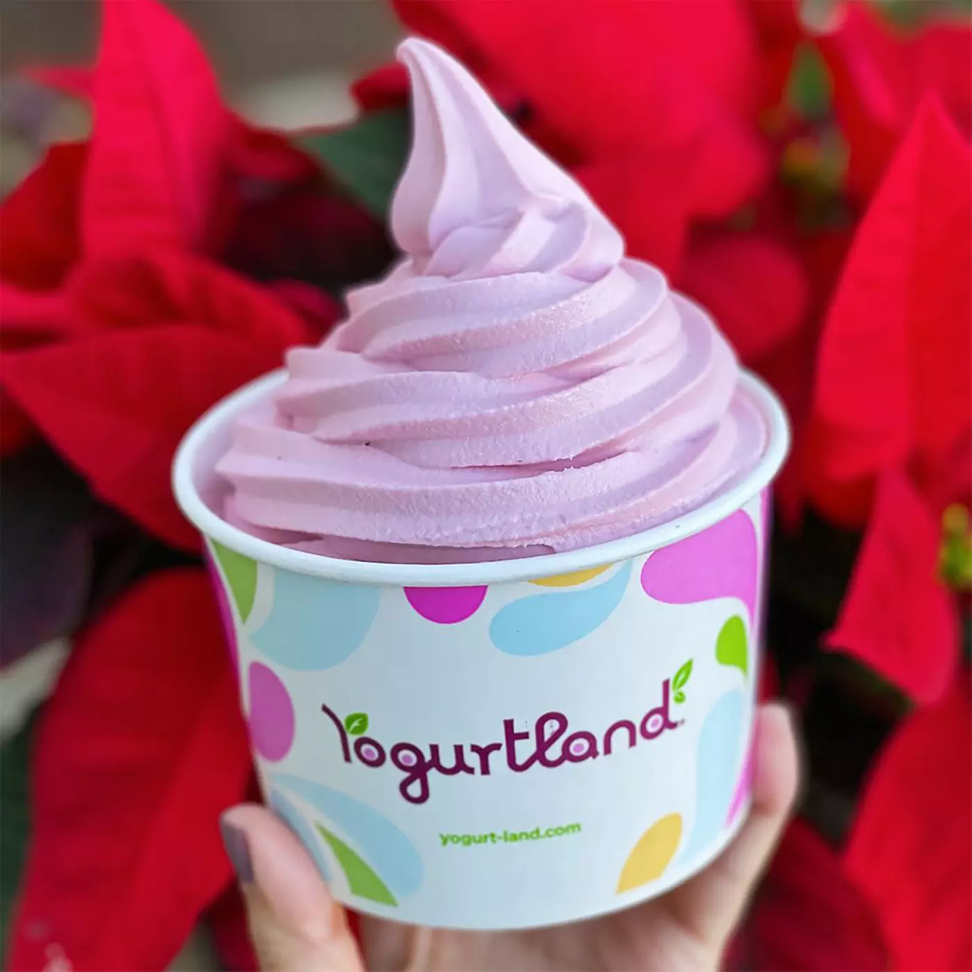 $10 For $20 Worth Of Yogurt & More - Primary Image