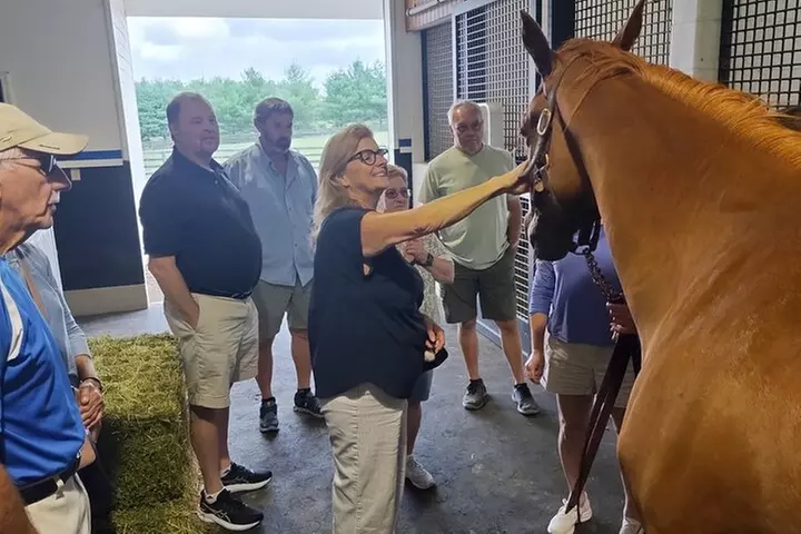 Half-Day Thoroughbred Horse Farm Tour in Kentucky