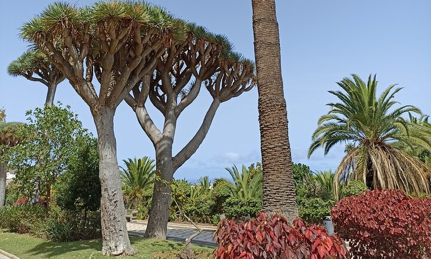 Image 10: Tour del Ron y Pueblos Icónicos de Gran Canaria para cruceristas