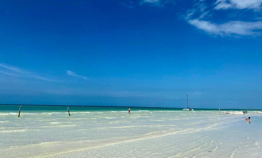 Image 28: Holbox Day Tour from Cancún: Punta Mosquito & Lunch Experience