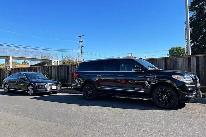 Private Airport Transfer from San Francisco to SFO (One-Way) - Primary Image