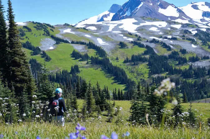 Squamish Half-Day Wilderness Hike - Primary Image