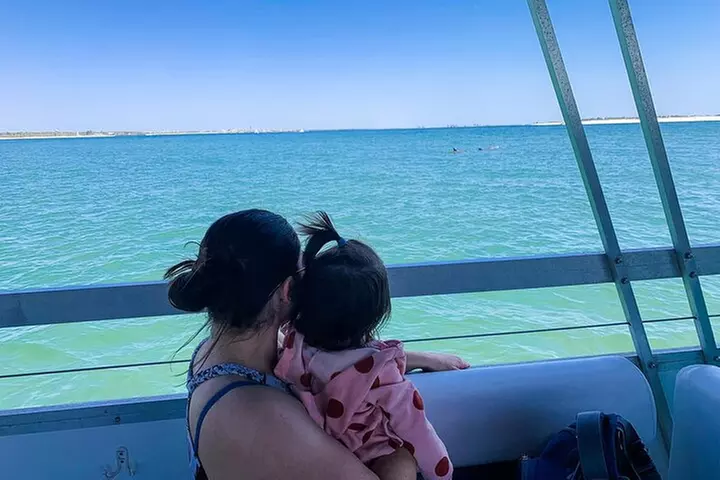 Pensacola Beach Jolly Dolphin Cruise and Scenic Bay Tour