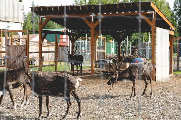 Alaskan Heritage and Sightseeing Tour in Fairbanks
