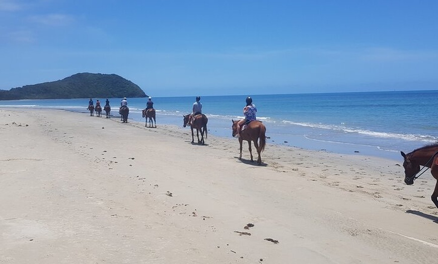 Image 5: Mid-Morning Beach Horse Ride in Cape Tribulation