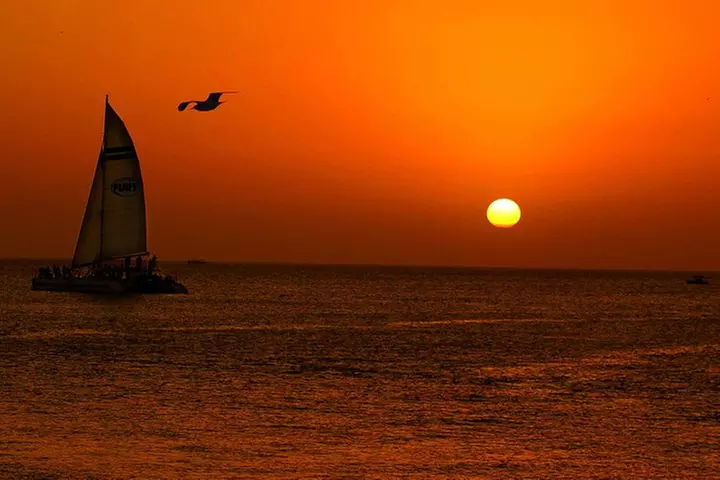 Key West Sunset Sail with Live Music, Drinks and Appetizers