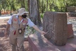 Discover the Amazing Pyramids of Teotihuacan and Guadalupe Shrine, with Lunch - Second Medium