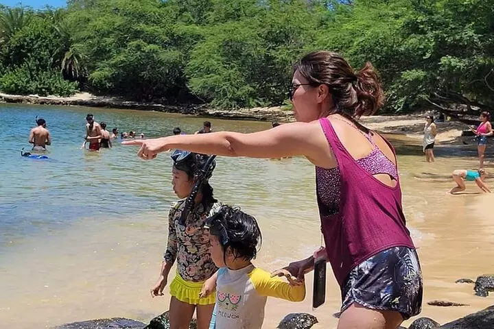 Oahu Circle Island: Snorkel with Turtles & Explore Turtle Beach