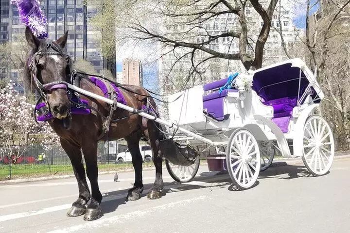 Private NYC Central Park Horse Carriage Ride (Guided) Since 1965™