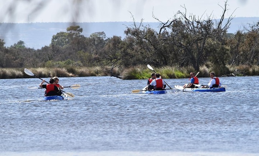 Image 3: Perth Kayak Tour - Canning River Wetlands