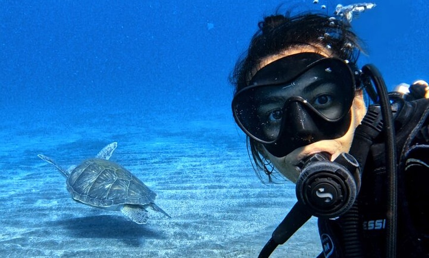 Image 1: Curso de buceo Open Water en Tenerife