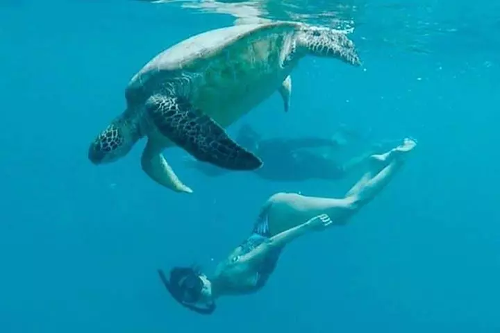 Waikiki Turtle Snorkel and Sail on Hawea Catamaran