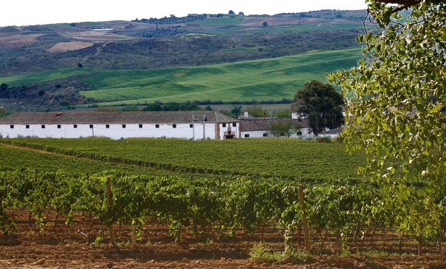 Image 14: Tour de la Ciudad de Toledo y Visita a Bodega con Cata de Vinos des...