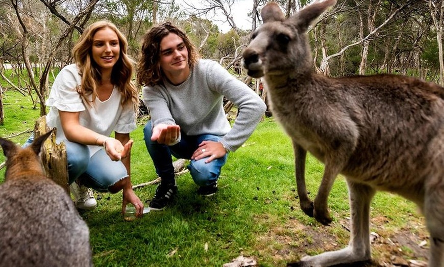 Image 3: Moonlit Sanctuary Wildlife Conservation Park Daytime General Entry ...