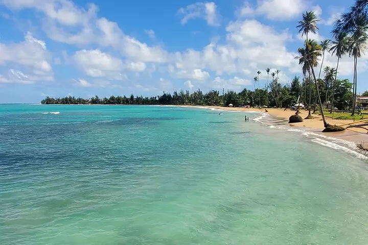 El Yunque Ziplining with River and Beach Visit - Primary Image