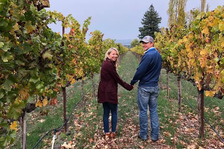 8-Hour Exclusive Wine Tour Experience for up to 6 Guests / Napa-Sonoma