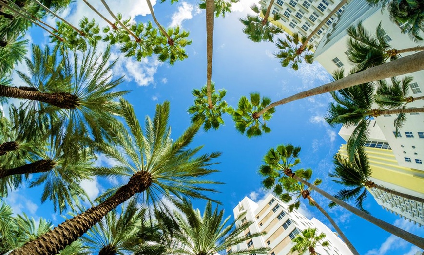 Image 16: ✈ FLORIDE | Miami - The Confidante Hotel - in the Unbound Collectio...