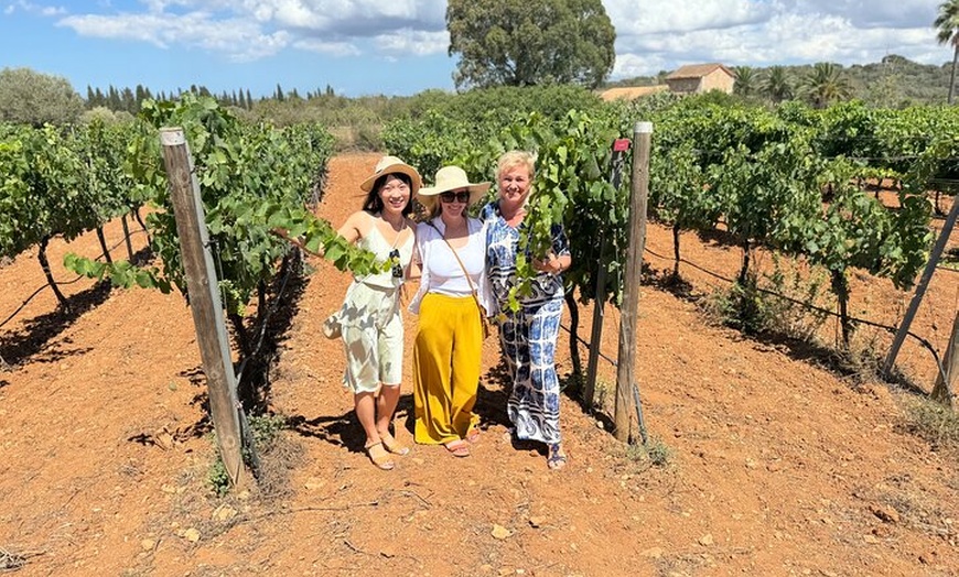 Image 8: AVENIDA WINE EXPERIENCE - Tesoros del vino local