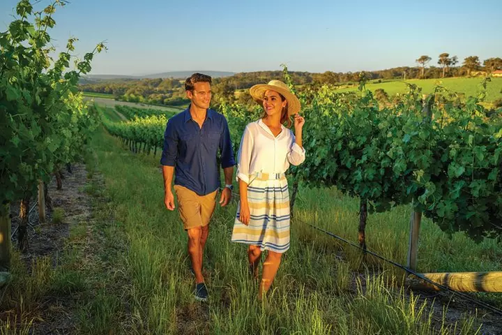 Scenic Hunter Valley Tour with Wine and Cheese Tastings