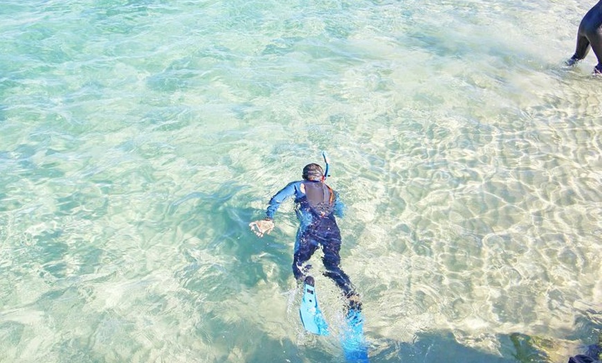 Image 1: Wave Break Island Snorkel Tour on the Gold Coast