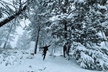 Snowshoe Tour Big Bear Lake with Hot Chocolate - Second Medium