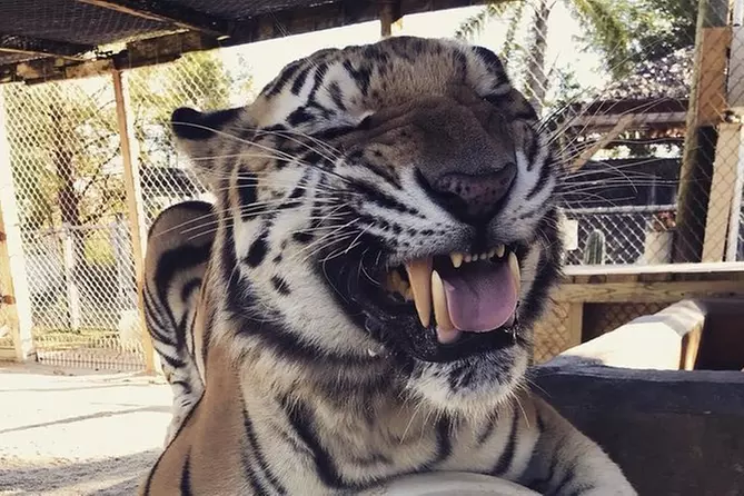 Octagon Wildlife Sanctuary And Rehabilitation Center Admission Ticket - Primary Image