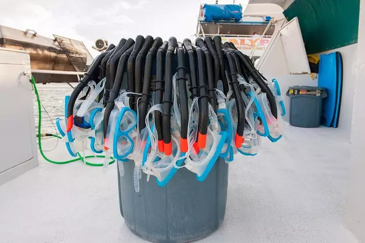 Four Winds Molokini Snorkeling Tour from Maalaea Harbor