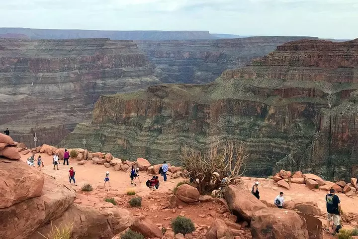 Grand Canyon West Skywalk Western Ranch Joshua Forest