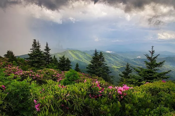Custom Half-Day Photo Tour with Photography Lessons from Asheville