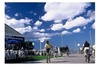 E-Bike Tours on Coronado