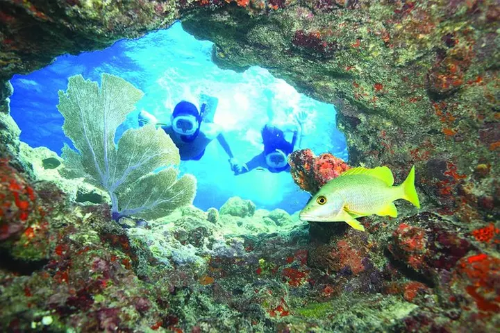 Key West Reef Snorkel – Morning Mimosas or Afternoon Margaritas