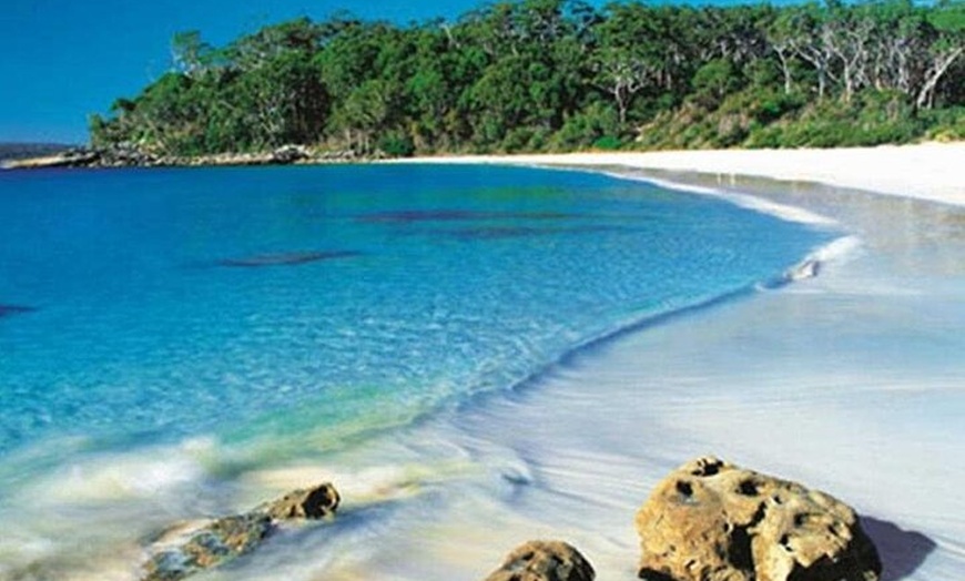 Image 16: Jervis Bay Tour with Dolphins, Kangaroos & World's Whitest Beach