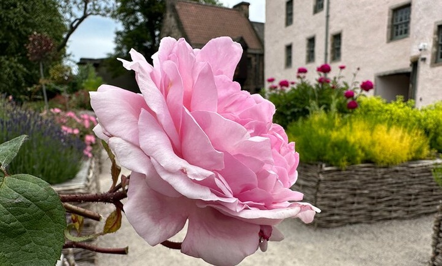Image 5: Royal Mile Walking Tour Small Group