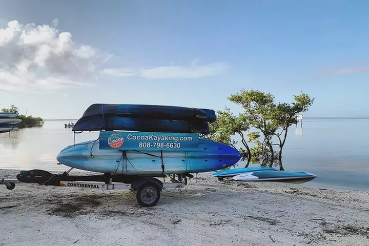 Wildlife Refuge Manatee, Dolphin & Mangrove Kayak or Paddleboarding...