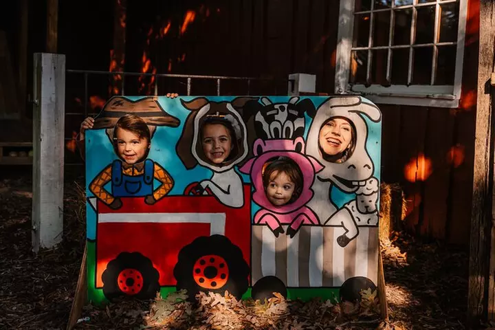 Shepherd's Adventure Park