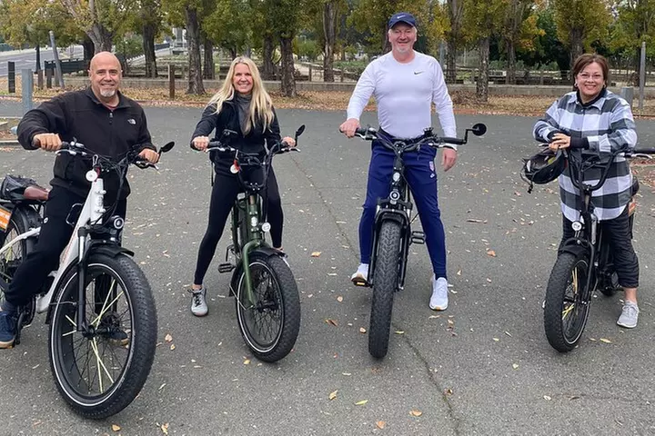 Full Day E-Bike Rental