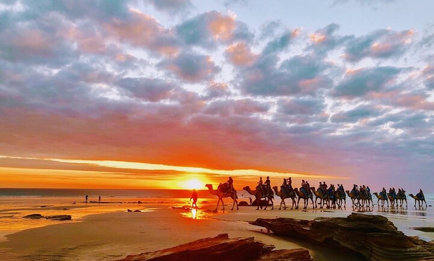 Image 5: 1 Hour Broome Sunset Camel Tour