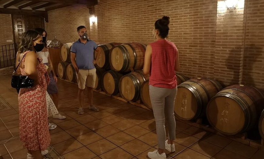 Image 4: Visita guiada a bodega y cata de vinos por el campo de Madrid