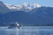 Kenai Fjords Orca Quest Cruise - Second Medium