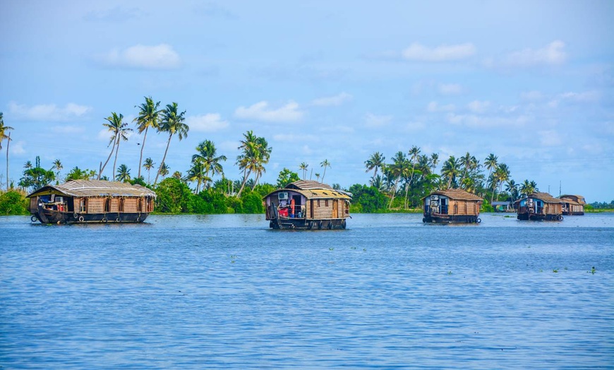 Image 16: ✈ INDIA | Kochi - Il Kerala autentico 5* - Tour