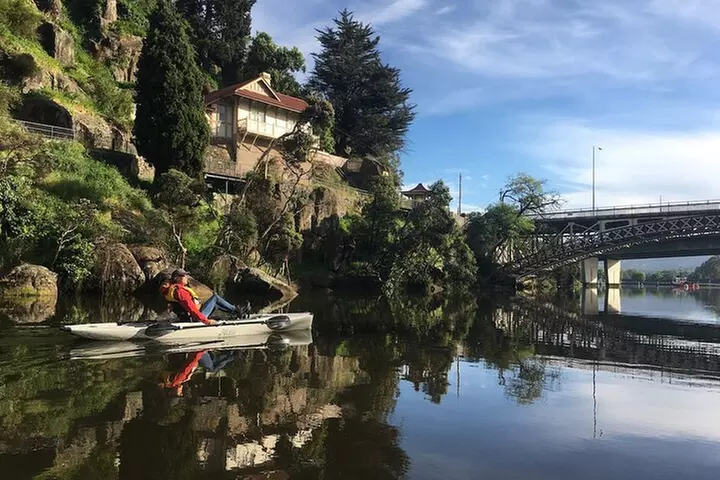 Guided Kayak Tour on Launceston's scenic waterfront on foot powered Hobie kayaks - Image 7