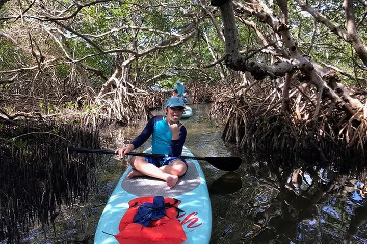 Half Day Kayak Rental to John's Pass Sandbar & Mangrove Tunnel