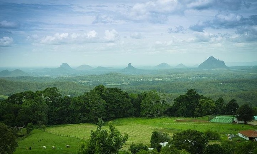 Image 3: Sunshine Coast Hinterland and Noosa Day Trip from Brisbane Incl Eum...