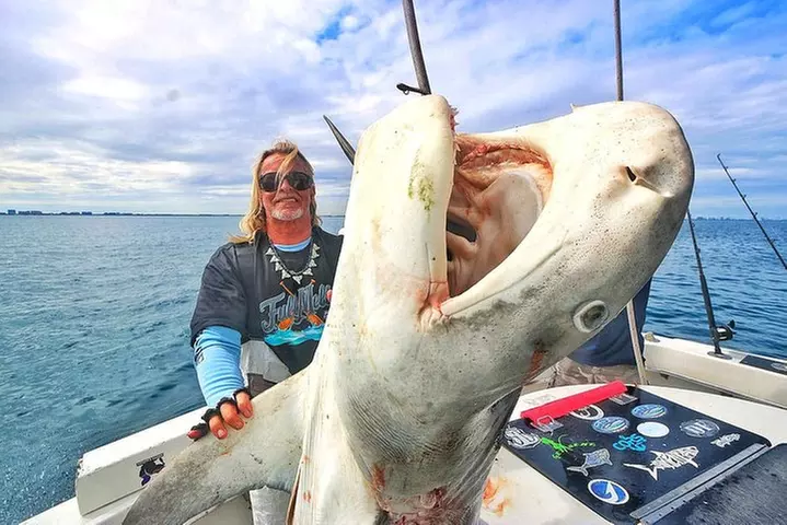 Miami Big Game Deep Sea Fishing Charter