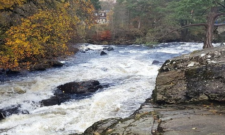 Image 11: Loch Lomond & The Highlands Private Day Tour with Scottish Local