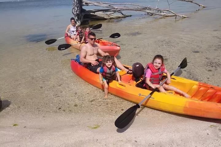 Guided Kayak Tour with Manatee & Dolphin Sightings