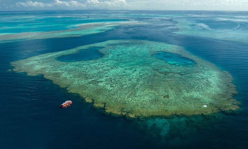 Image 3: Outer Reef Snorkel Adventure in Airlie Beach