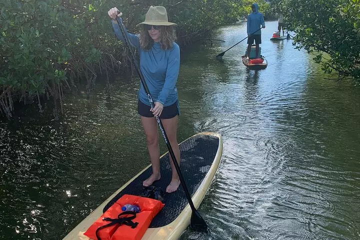 Dolphin and Manatee Adventure Tour of Fort Myers